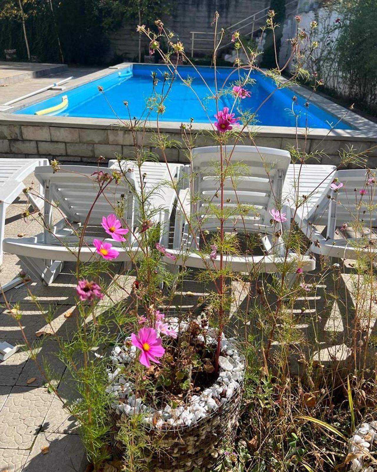 فيلا Dilijan Duplex المظهر الخارجي الصورة